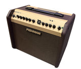 Fishman Loudbox Mini 2023