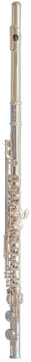 Trevor James 10xp Flute Outfit - CS 925 Silver Lip Plate and riser