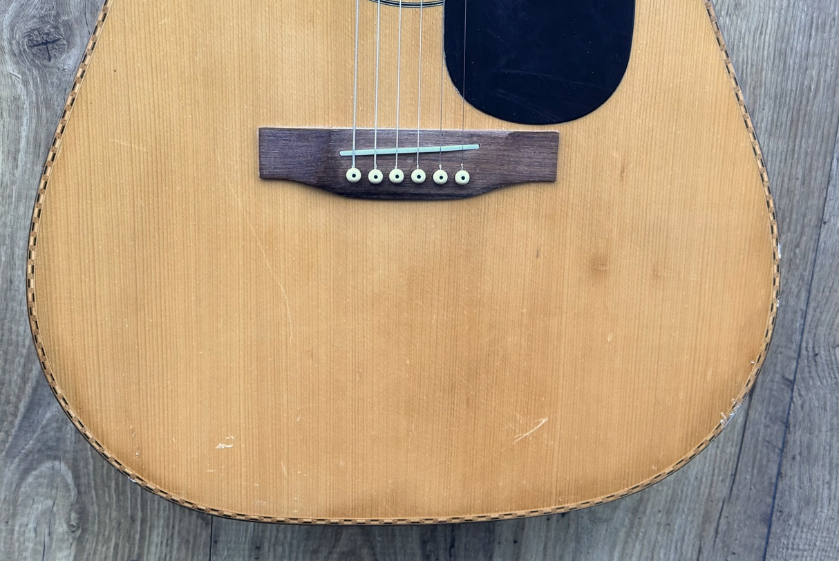 Marina Mark 35 Acoustic Guitar