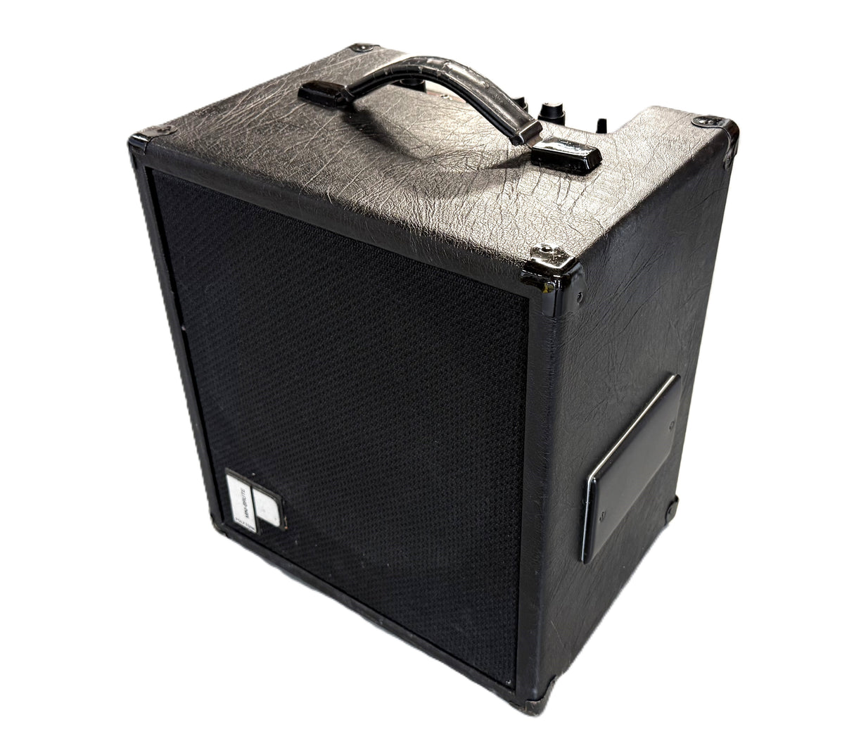 Polytone Brute Mini 2