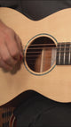 Faith FKV12 Naked Venus 12 String
