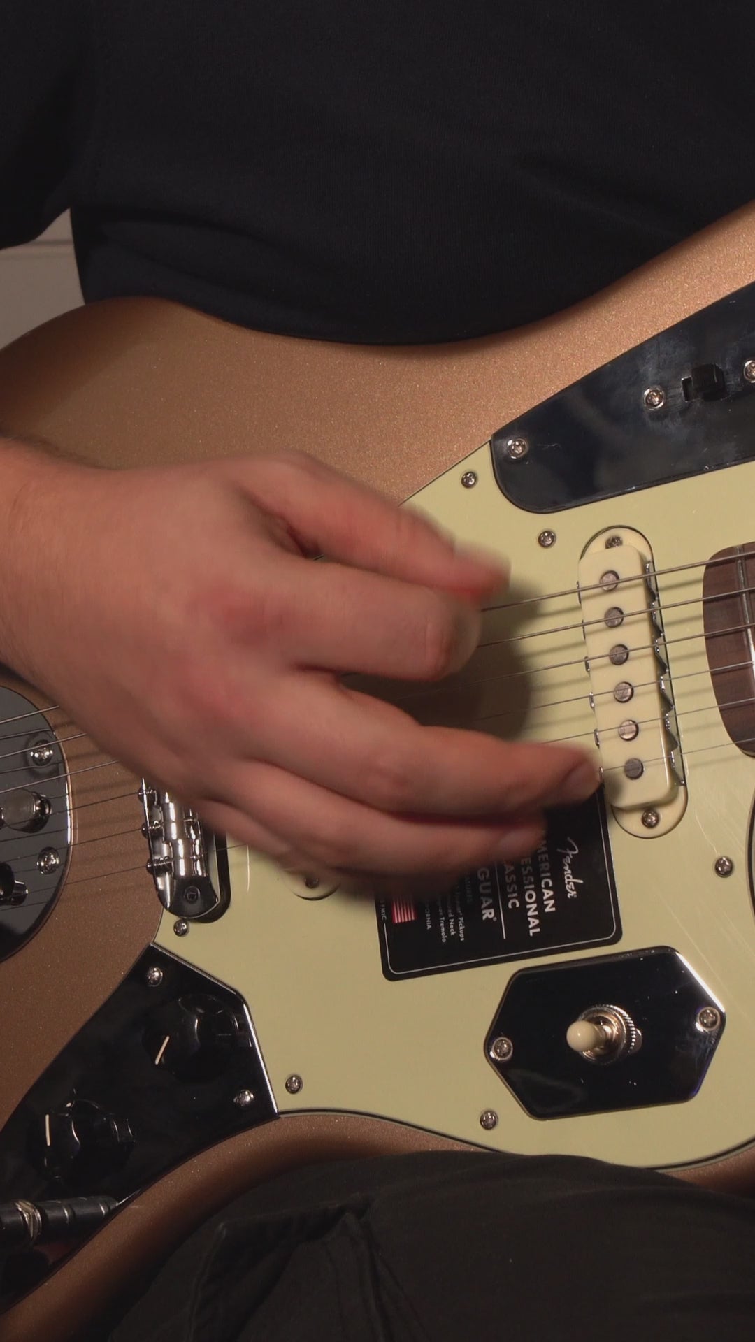 Fender American Professional Classic Jaguar RW Faded Firemist Gold