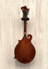Barnes And Mullins Salvino Model Mandolin