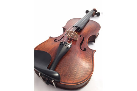 Stentor Arcadia Antiqued 4/4 Violin Outfit