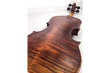 Stentor Arcadia Antiqued 4/4 Violin Outfit