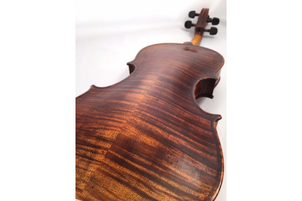 Stentor Arcadia Antiqued 4/4 Violin