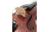 Stentor Elysia Violin 3/4