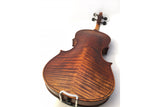Stentor Elysia Violin 4/4 Outfit with Standard Brazilwood Bow