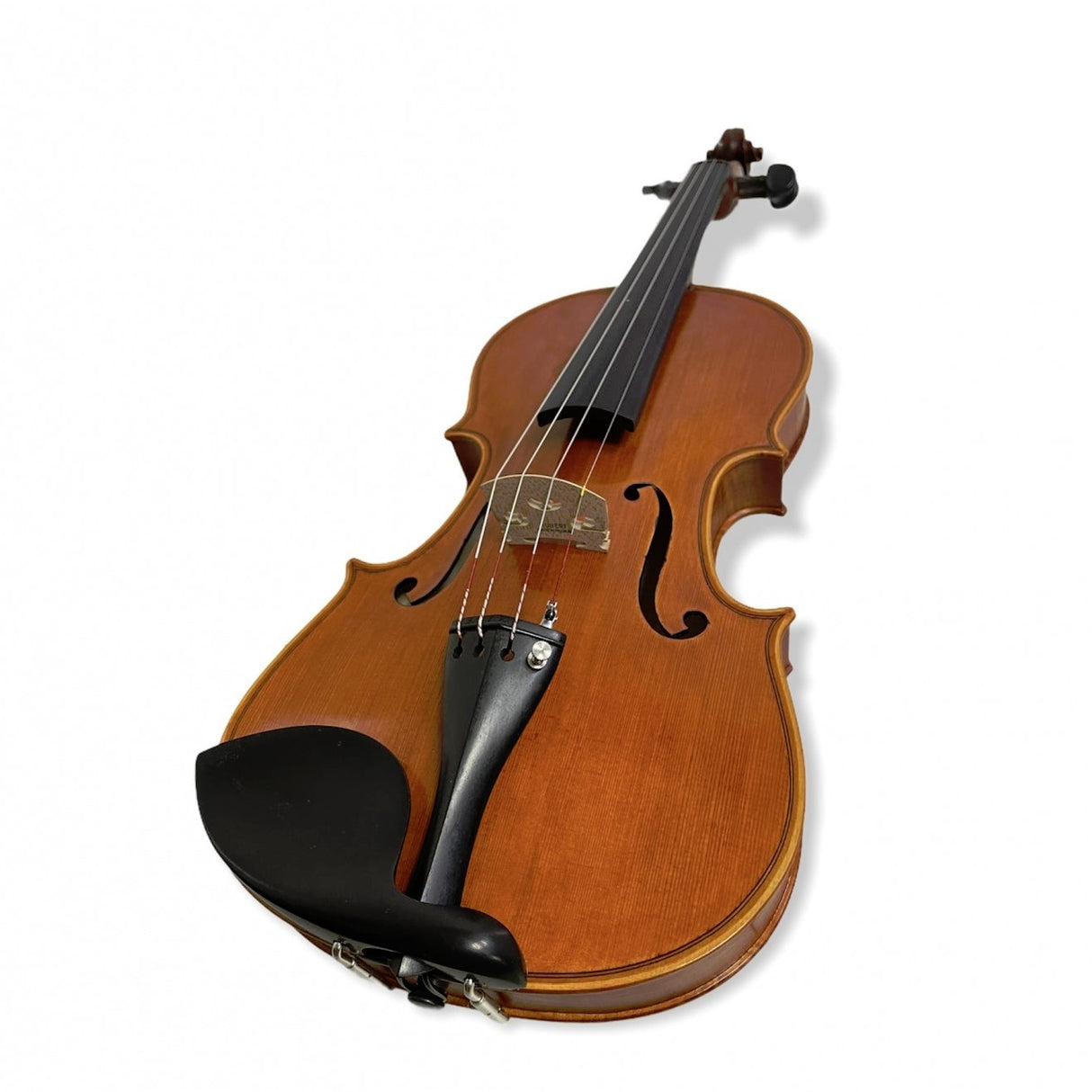 Stentor Elysia Violin 4/4