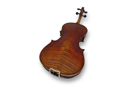 Stentor Master Violin 4/4 Antiqued