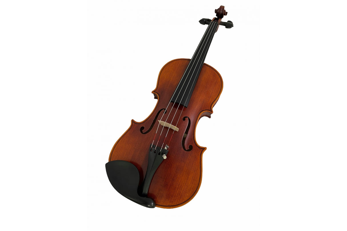 Stentor Violin Arcadia 4/4