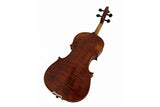 Stentor Violin Arcadia 4/4 Outfit + finetuners