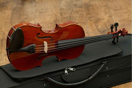 Stentor Violin Conservatoire 4/4 Plus Dominant Strings