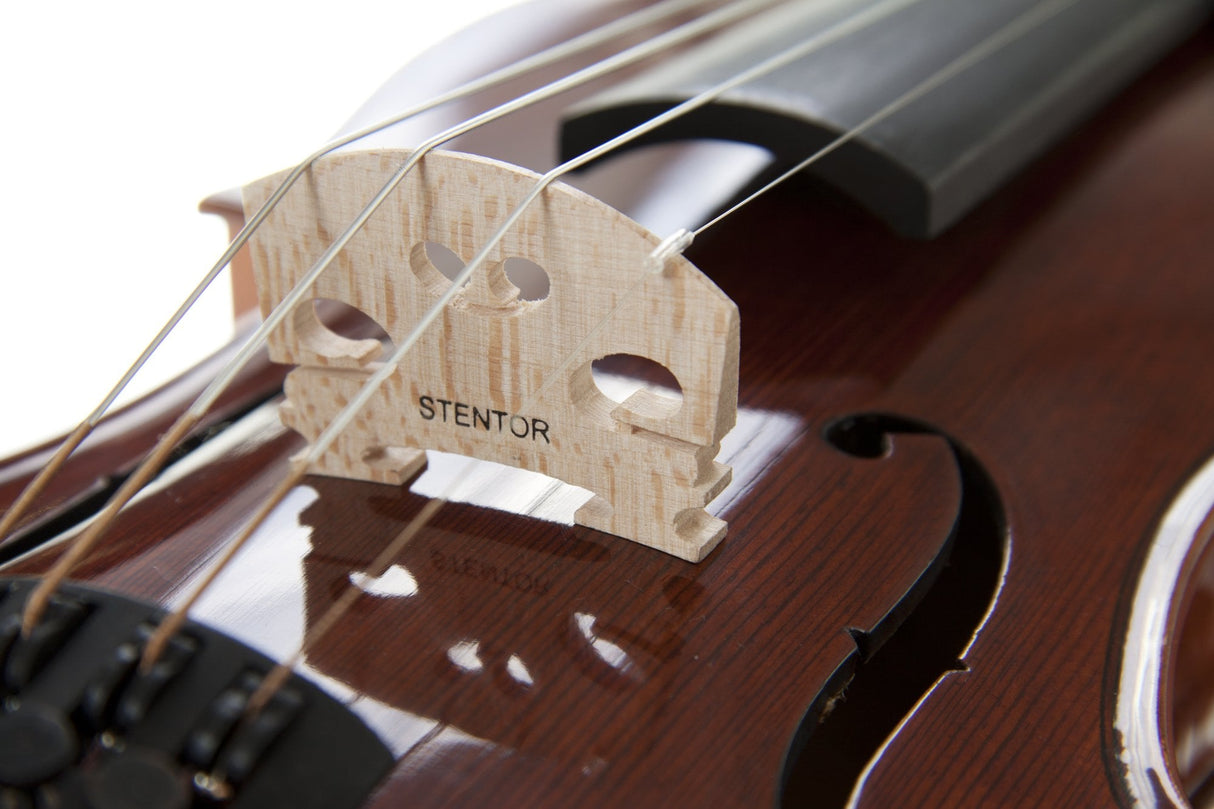 Stentor Violin Conservatoire 3/4