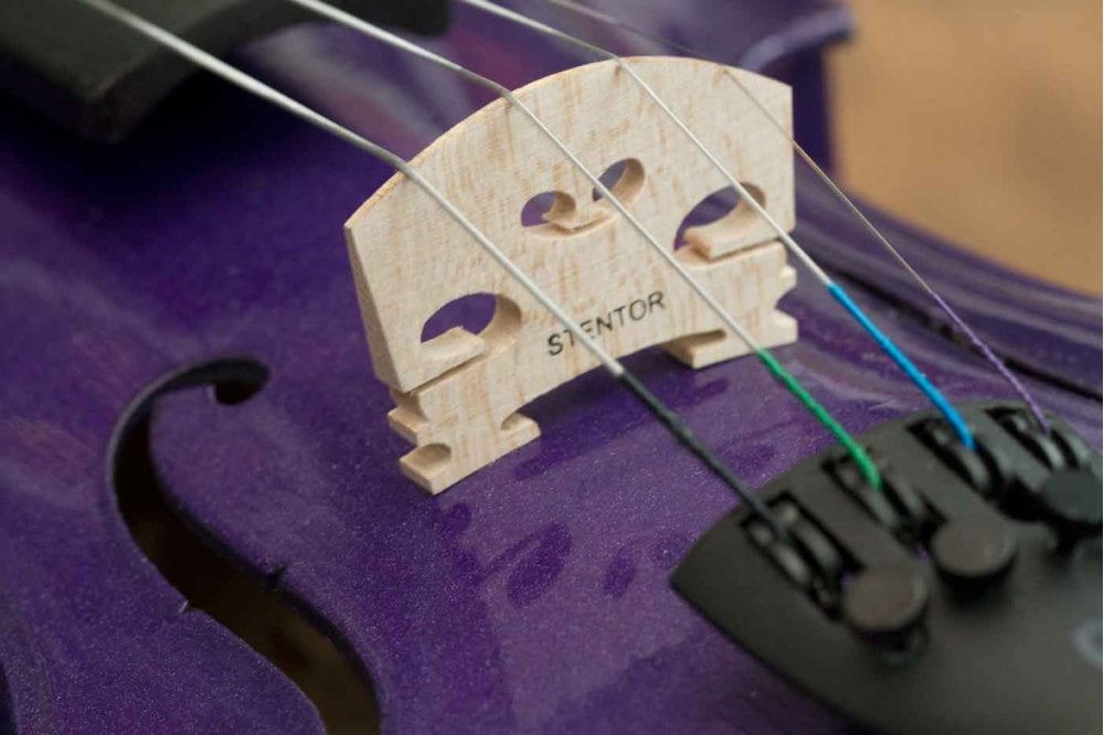 Stentor Violin Harlequin Deep Purple 1/4