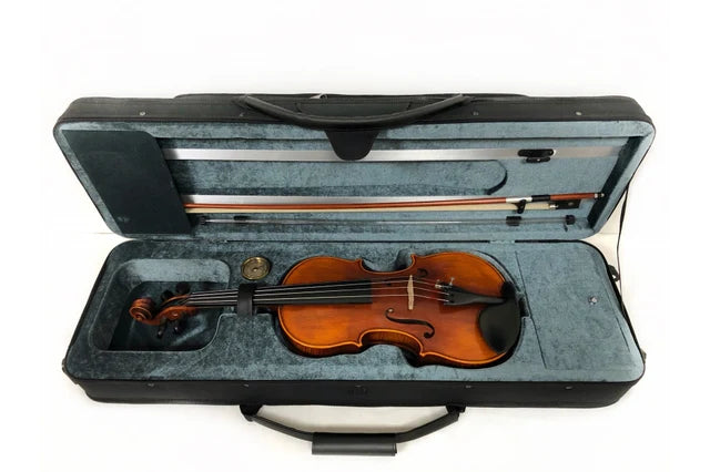 Stentor Violin Messina 3/4 Full Outfit