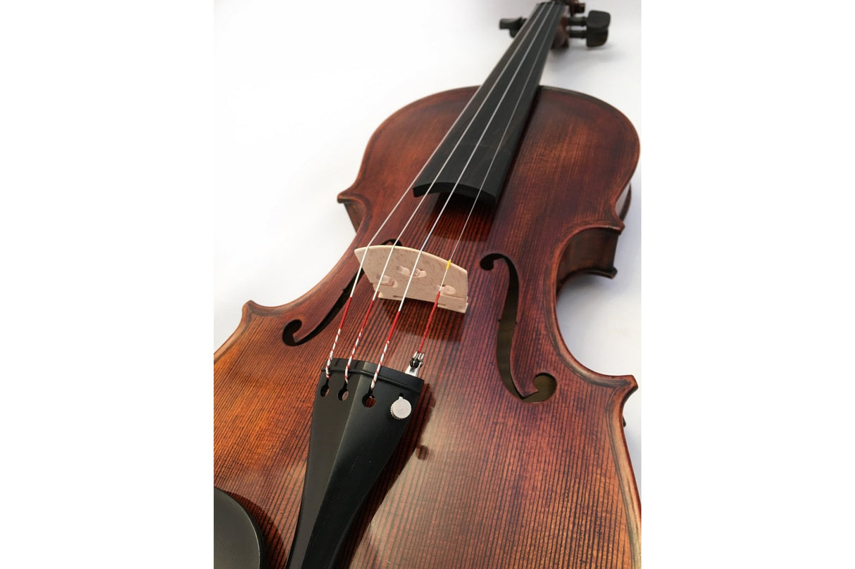 Stentor Violin Messina 4/4 Full Outfit with Pernambuco Bow