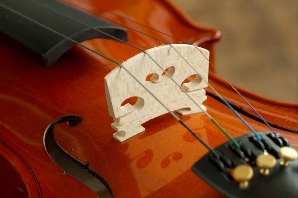 Stentor Violin Standard 1/2