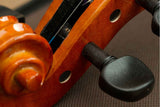 Stentor Violin Standard 1/10