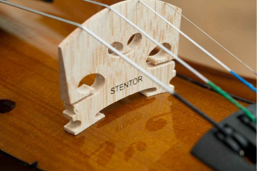Stentor Violin Student 1 1/16 – Reidys Home Of Music