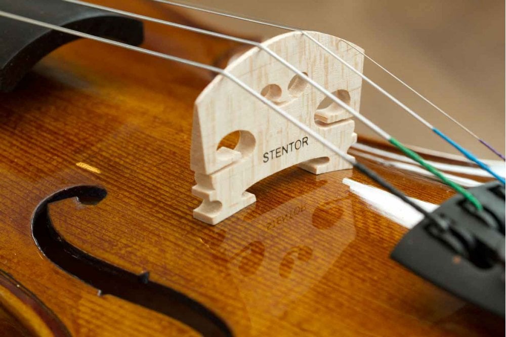 Stentor Violin Student 2 4/4 – Reidys Home Of Music