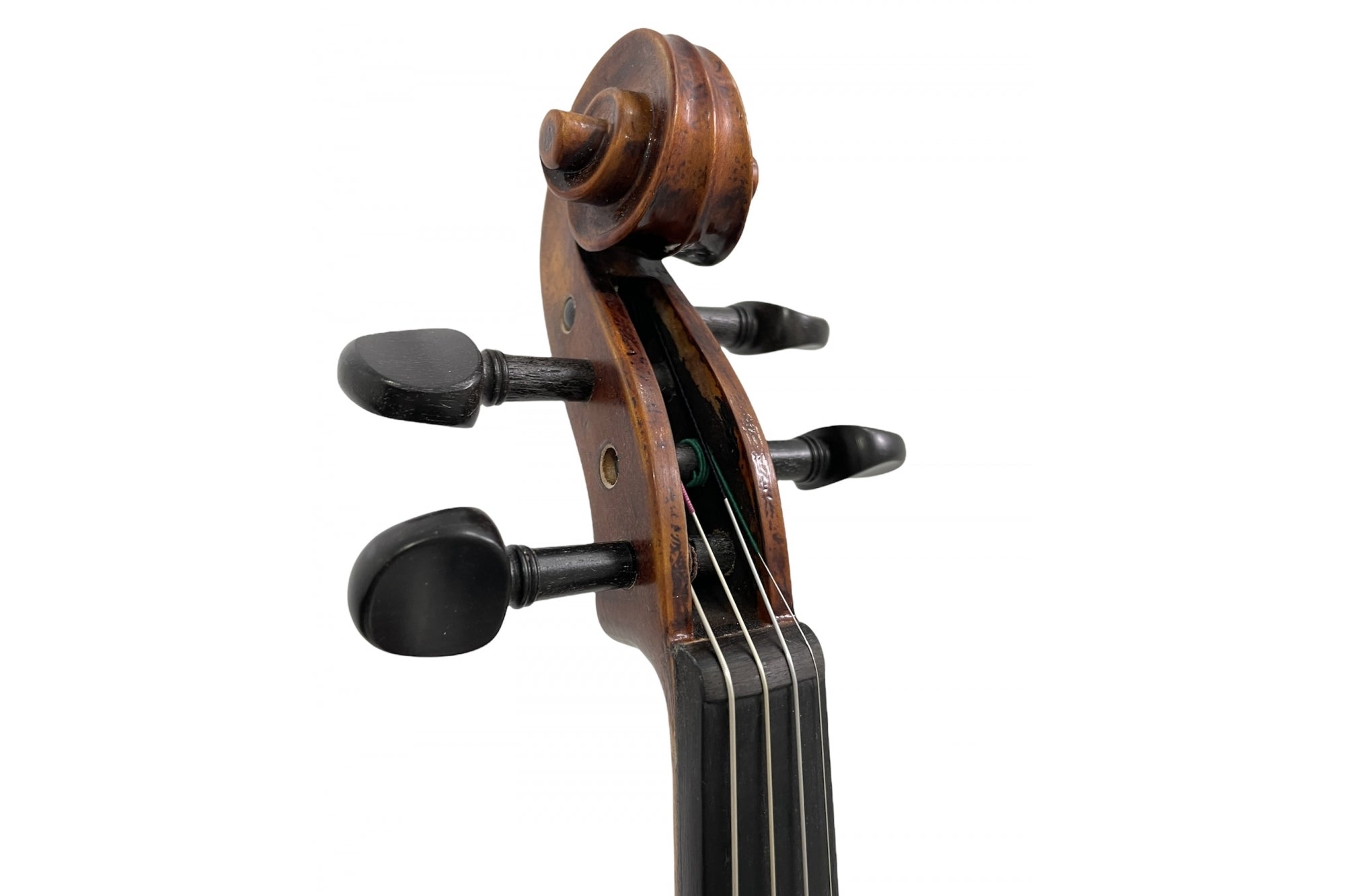 Stentor Violin Verona 4/4 Full Outfit – Reidys Home Of Music