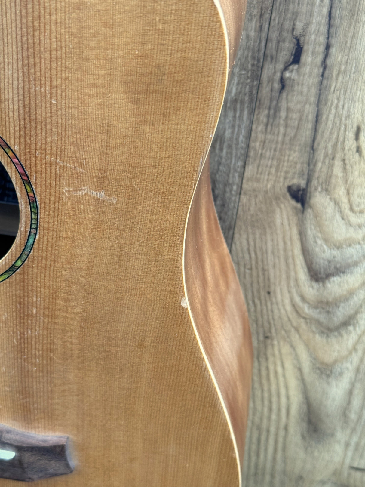 Tanglewood TWR B Acoustic Travel Bass