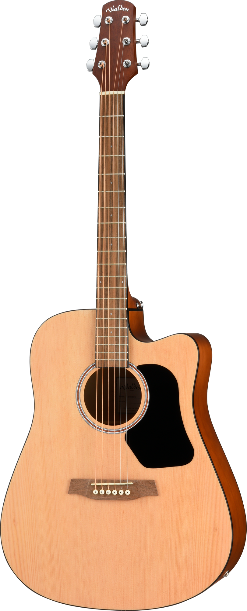 Walden D255CE Hawthorne Dreadnought Electro-Acoustic Cutaway - Satin