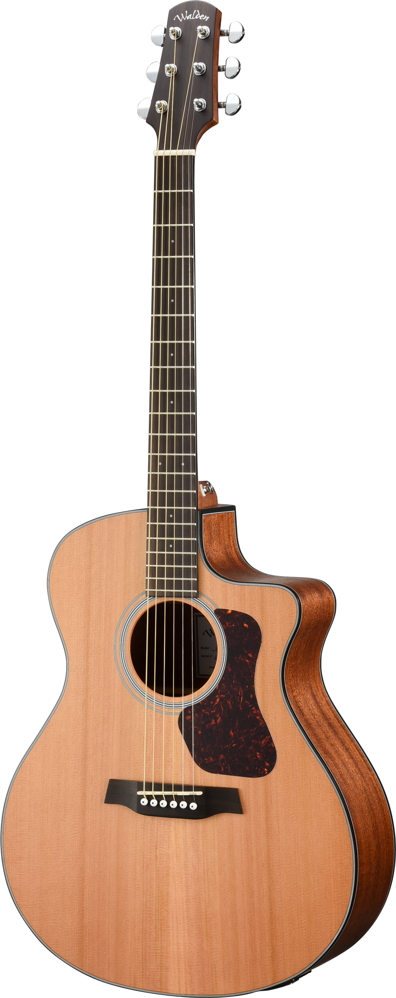Walden G570CEW Natura Cedar Grand Auditorium Electro-Acoustic - Open Pore Satin