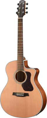 Walden G770CEW Natura Solid Cedar / Mahogany Grand Auditorium Electro-Acoustic - Satin