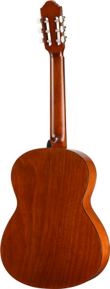 Walden N350W Standard Nylon Classical