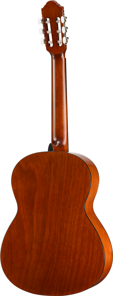 Walden N350W Standard Nylon Classical