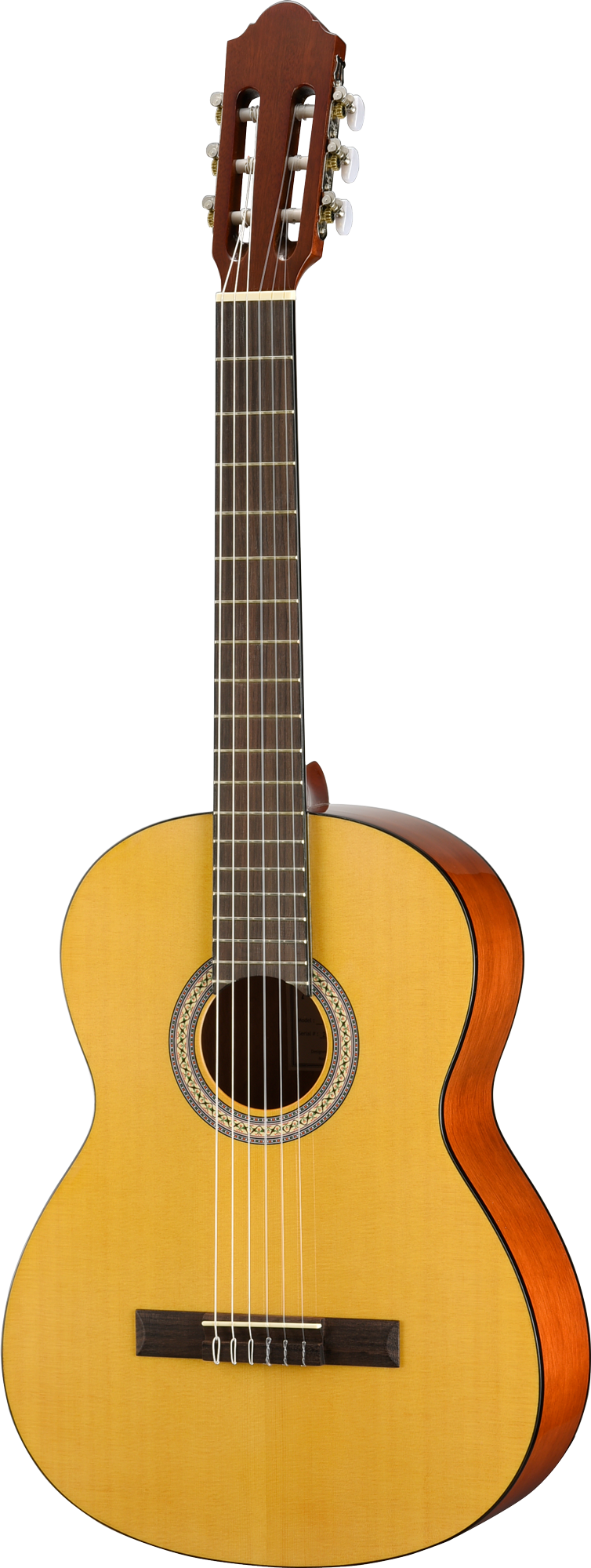Walden N350W Standard Nylon Classical