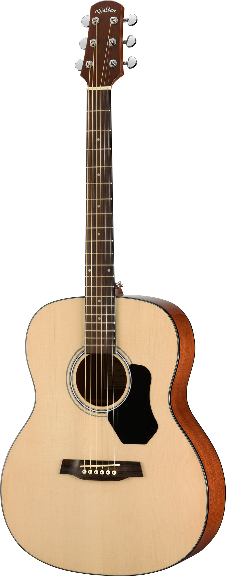 Walden O450W Standard Solid Spruce Top Orchestra Acoustic - Gloss