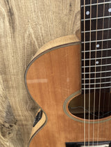 Washburn Woodstock Electro-Acoustic 1989