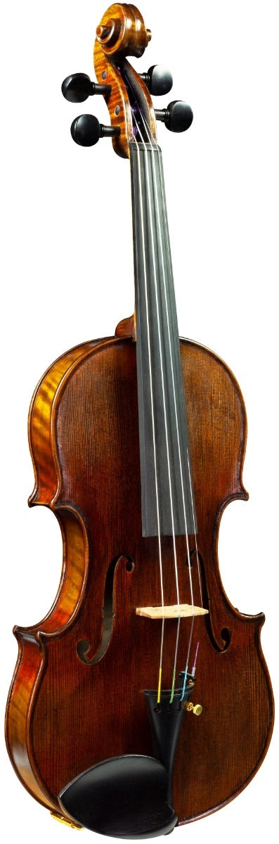 Hidersine Espressione Violin 4/4 Outfit - Guarneri