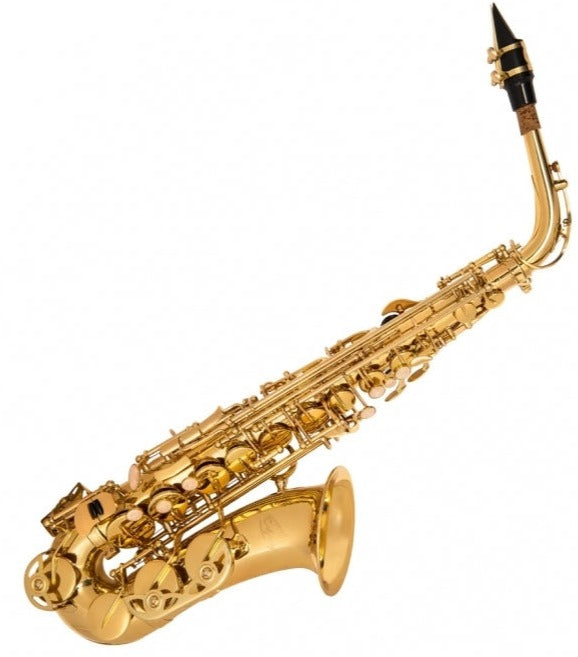 Odyssey Debut Alto Saxophone Outfit