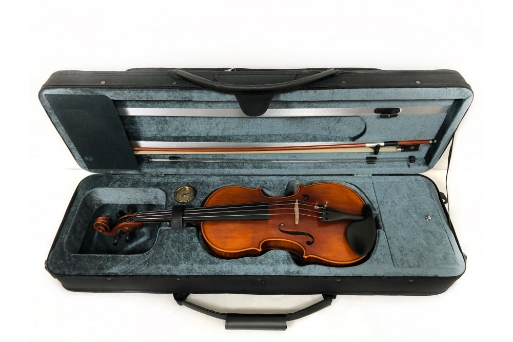 Stentor Violin Messina 4/4 Full Outfit with Brazilwood Bow